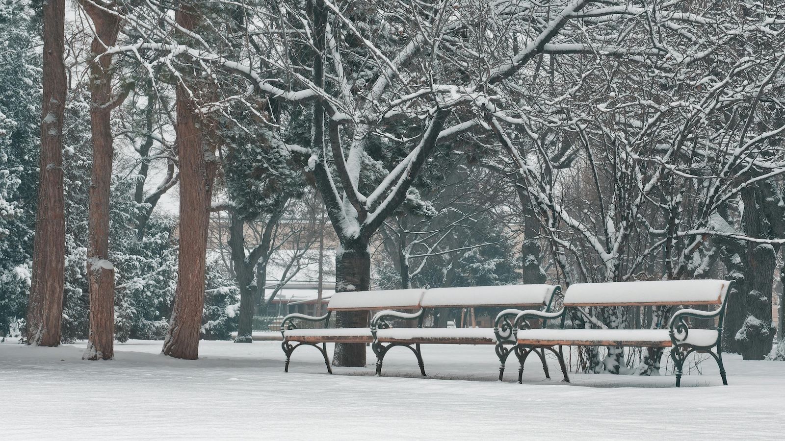 Month in Review - January 2026