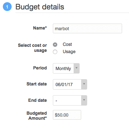 Budget details
